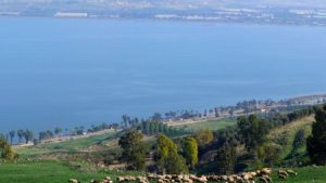 Sea of Galilee by Larry Koester under CC-BY 2.0, https://www.flickr.com/photos/larrywkoester/37215598641/